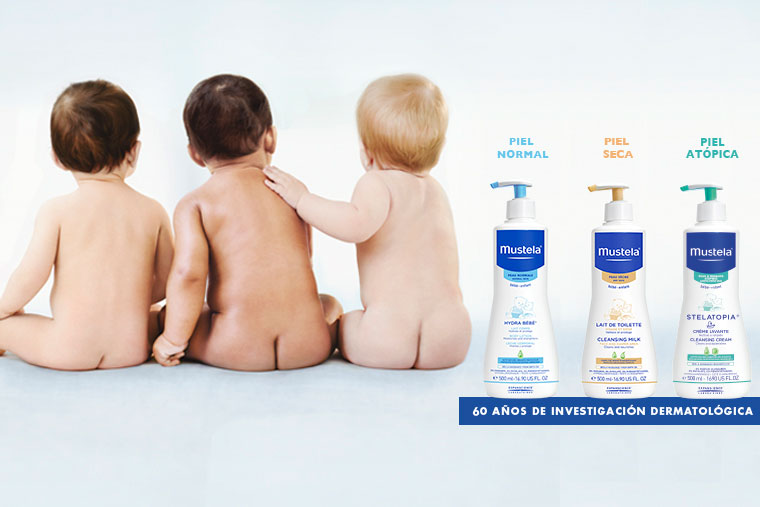 Proyecta Livebrand Mustela